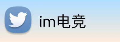 im电竞 Logo
